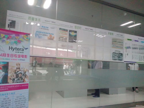 看準(zhǔn)網(wǎng)